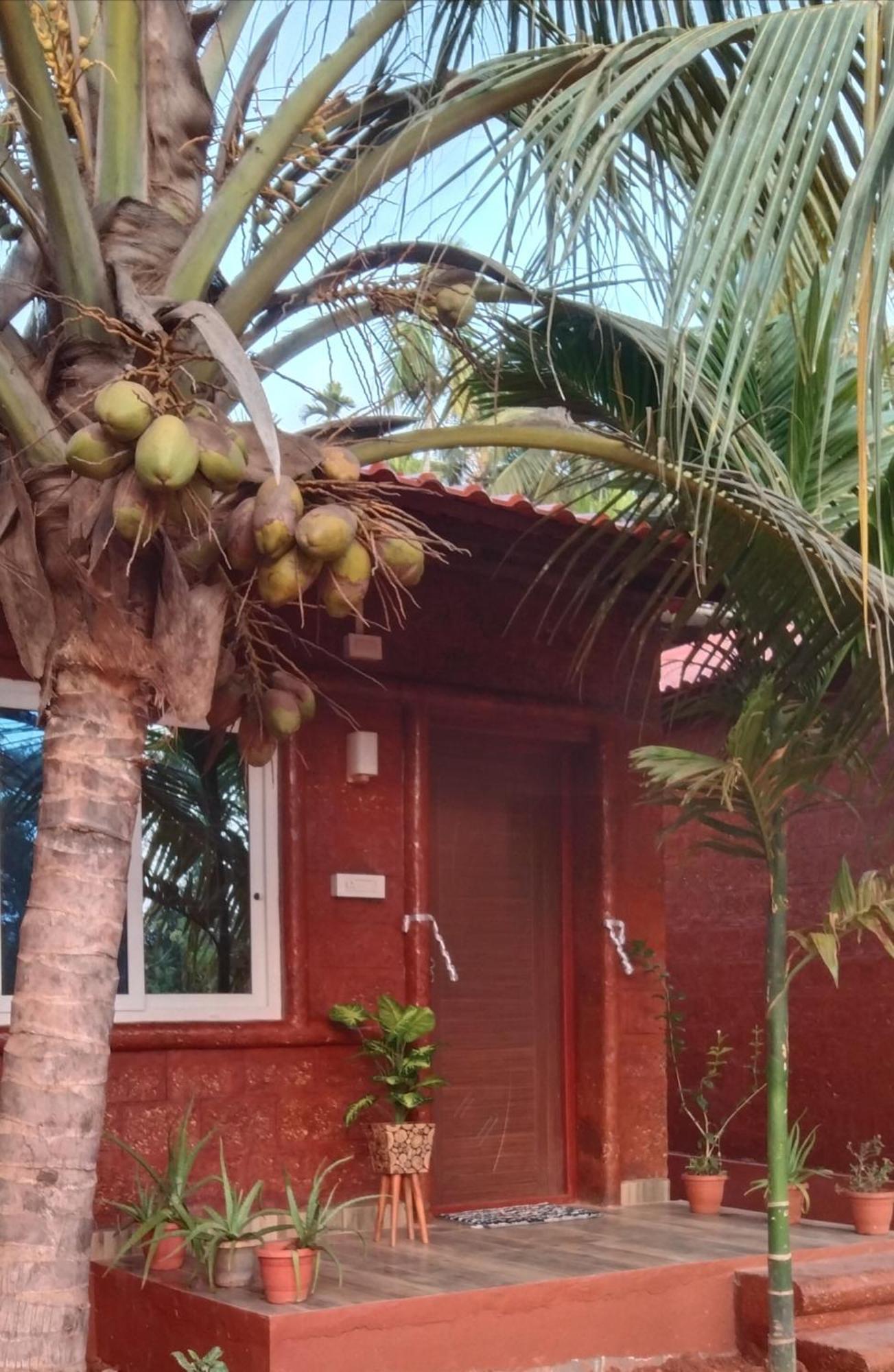Homestay Good Vibes Homestay-honnavar *