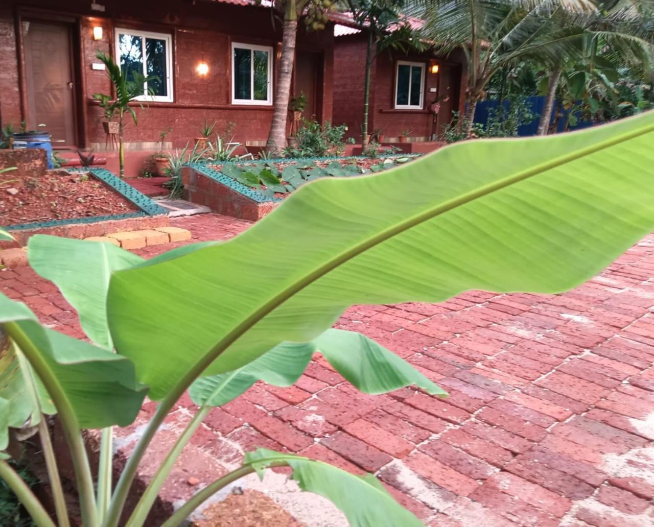 Homestay Good Vibes Homestay-honnavar